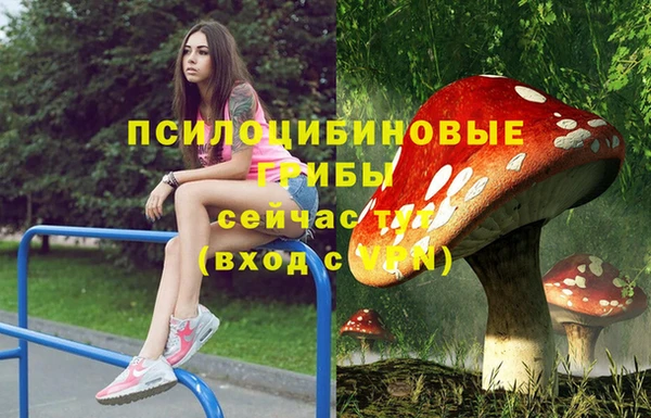 ГАЛЛЮЦИНОГЕННЫЕ ГРИБЫ Мегион