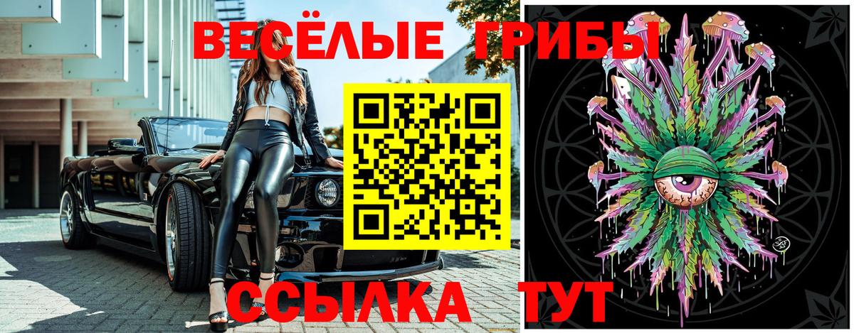 Псилоцибиновые грибы MAGIC MUSHROOMS Новодвинск