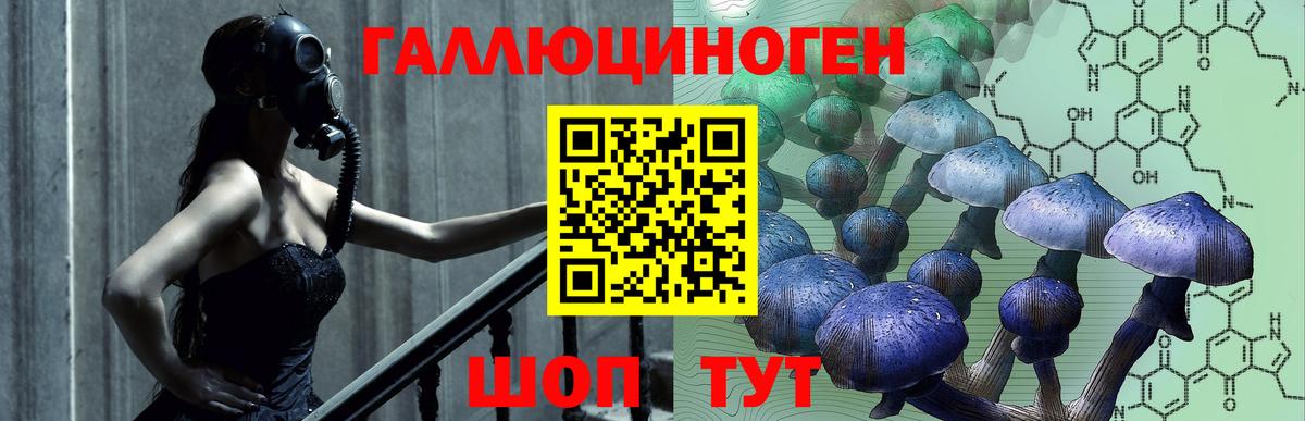 Новодвинск  Галлюциногенные грибы Psilocybe  даркнет сайт  Псилоцибиновые грибы прущие грибы  Вход с VPN 